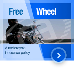 Free Wheel